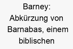 barney abkuerzung von barnabas einem biblischen namen der sohn des trostes bedeutet 17398