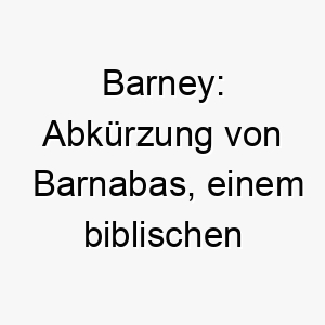 barney abkuerzung von barnabas einem biblischen namen der sohn des trostes bedeutet 17398