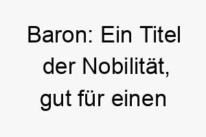 baron ein titel der nobilitaet gut fuer einen hund mit einer stolzen und noblen haltung 17339