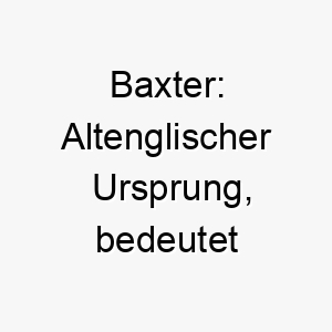 baxter altenglischer ursprung bedeutet baecker passend fuer einen hund der gerne essen isst oder in der kueche ist 17392