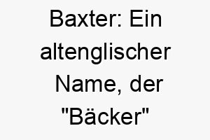 baxter ein altenglischer name der baecker bedeutet passend fuer einen hund der es liebt in der kueche zu sein 17366