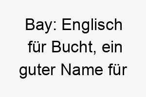 bay englisch fuer bucht ein guter name fuer einen hund der wasser liebt 17314