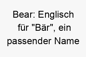 bear englisch fuer baer ein passender name fuer einen grossen kraeftigen hund 17362