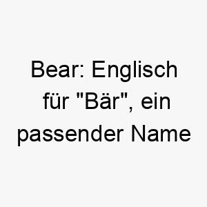 bear englisch fuer baer ein passender name fuer einen grossen kraeftigen hund 17362