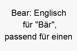 bear englisch fuer baer passend fuer einen grossen oder kraeftigen hund 17400