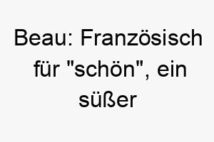 beau franzoesisch fuer schoen ein suesser name fuer einen attraktiven hund 17315