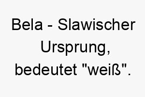 bela slawischer ursprung bedeutet weiss bedeutung als hundename fuer einen weiss oder hellfarbenen hund 12942