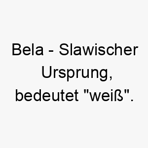 bela slawischer ursprung bedeutet weiss bedeutung als hundename fuer einen weiss oder hellfarbenen hund 12942