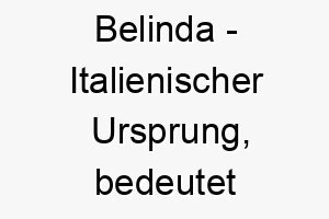 belinda italienischer ursprung bedeutet schoene schlange bedeutung als hundename fuer einen schoenen anmutigen hund 12818