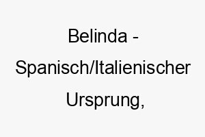 belinda spanisch italienischer ursprung bedeutet schoen bedeutung als hundename fuer einen besonders schoenen hund 12951