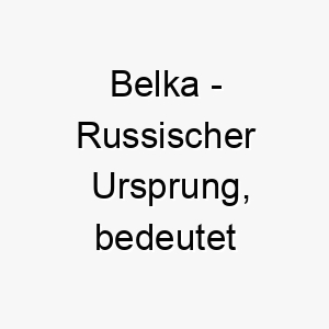 belka russischer ursprung bedeutet eichhoernchen bedeutung als hundename fuer einen schnellen lebhaften hund 12940