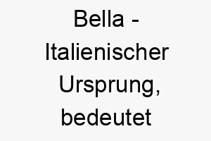 bella italienischer ursprung bedeutet schoen bedeutung als hundename fuer einen besonders schoenen hund 12970