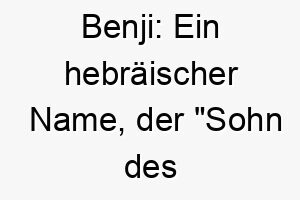 benji ein hebraeischer name der sohn des rechten haendlers bedeutet auch bekannt durch den beruehmten filmhund gleichen namens 17365