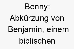 benny abkuerzung von benjamin einem biblischen namen der sohn der rechten hand bedeutet 17402