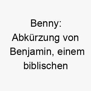 benny abkuerzung von benjamin einem biblischen namen der sohn der rechten hand bedeutet 17402