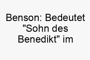 benson bedeutet sohn des benedikt im englischen perfekt fuer einen gesegneten oder gluecklichen hund 17386