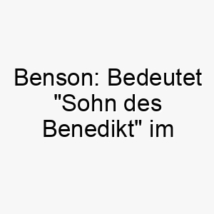 benson bedeutet sohn des benedikt im englischen perfekt fuer einen gesegneten oder gluecklichen hund 17386