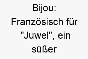 bijou franzoesisch fuer juwel ein suesser name fuer einen kleinen wertvollen hund 17347