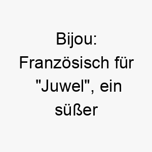 bijou franzoesisch fuer juwel ein suesser name fuer einen kleinen wertvollen hund 17347