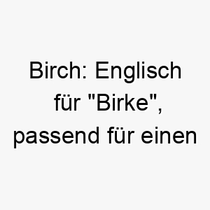 birch englisch fuer birke passend fuer einen hund mit weisser oder silberner farbe 17344