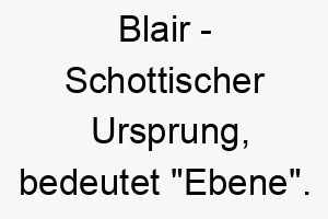 blair schottischer ursprung bedeutet ebene bedeutung als hundename fuer einen ruhigen ausgeglichenen hund 12953