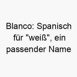 blanco spanisch fuer weiss ein passender name fuer einen hund mit weissem fell 17371