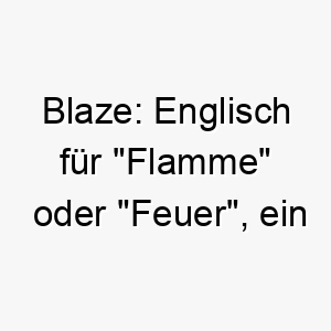 blaze englisch fuer flamme oder feuer ein guter name fuer einen hund mit einer lebendigen persoenlichkeit oder einem feurigen fell 17358