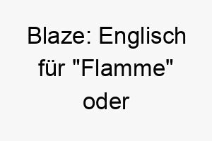 blaze englisch fuer flamme oder feuersbrunst passt gut zu einem energiegeladenen hund 17318