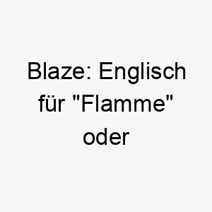 blaze englisch fuer flamme oder feuersbrunst passt gut zu einem energiegeladenen hund 17318