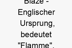 blaze englischer ursprung bedeutet flamme bedeutung als hundename fuer einen energischen leidenschaftlichen hund 12962