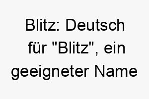 blitz deutsch fuer blitz ein geeigneter name fuer einen schnellen hund 17345