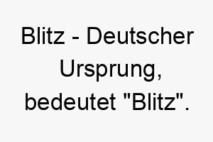 blitz deutscher ursprung bedeutet blitz bedeutung als hundename fuer einen schnellen energetischen hund 12742