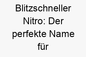 blitzschneller nitro der perfekte name fuer deinen dynamischen hund 23711