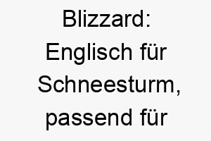 blizzard englisch fuer schneesturm passend fuer einen weissen oder sehr energischen hund 17388