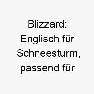 blizzard englisch fuer schneesturm passend fuer einen weissen oder sehr energischen hund 17388