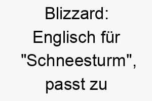 blizzard englisch fuer schneesturm passt zu einem weissen oder sehr hellen hund 17336