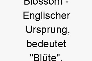 blossom englischer ursprung bedeutet bluete bedeutung als hundename fuer einen hund der sich entwickelt und gedeiht 12689