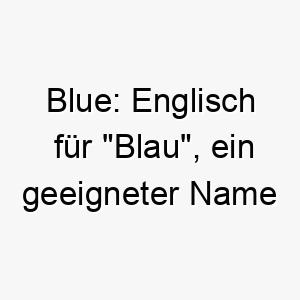 blue englisch fuer blau ein geeigneter name fuer einen hund mit blauen augen oder einem blaeulichen fell 17360