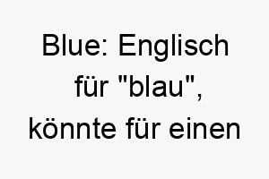 blue englisch fuer blau koennte fuer einen hund mit blauen augen oder blauem fell passend sein 17399