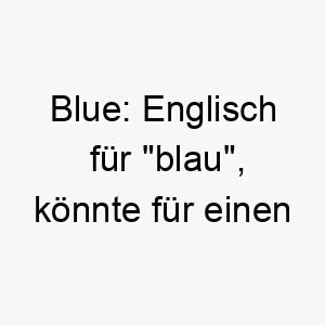 blue englisch fuer blau koennte fuer einen hund mit blauen augen oder blauem fell passend sein 17399