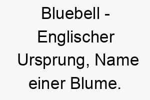 bluebell englischer ursprung name einer blume bedeutung als hundename fuer einen schoenen eleganten hund 12968