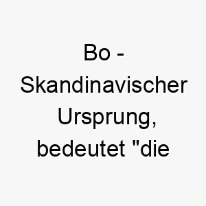 bo skandinavischer ursprung bedeutet die bewohnende bedeutung als hundename fuer einen wohnlichen liebenden hund 12751