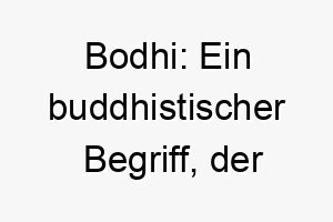 bodhi ein buddhistischer begriff der erleuchtung bedeutet passend fuer einen weisen oder nachdenklichen hund 17353