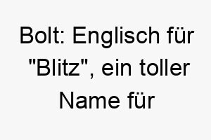 bolt englisch fuer blitz ein toller name fuer einen schnellen hund 17319