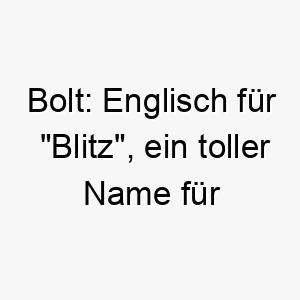 bolt englisch fuer blitz ein toller name fuer einen schnellen hund 17319