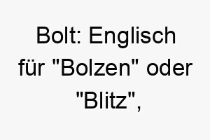 bolt englisch fuer bolzen oder blitz geeignet fuer einen sehr schnellen oder energischen hund 17391