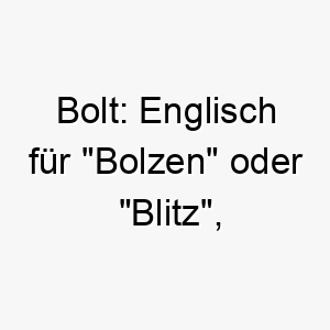 bolt englisch fuer bolzen oder blitz geeignet fuer einen sehr schnellen oder energischen hund 17391