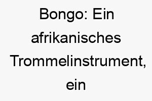 bongo ein afrikanisches trommelinstrument ein guter name fuer einen hund mit afrikanischer abstammung 17320