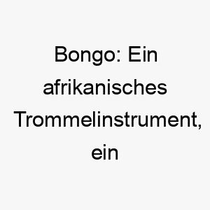 bongo ein afrikanisches trommelinstrument ein guter name fuer einen hund mit afrikanischer abstammung 17320