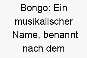 bongo ein musikalischer name benannt nach dem afrikanischen trommelinstrument passend fuer einen musikalischen oder rhythmischen hund 17381